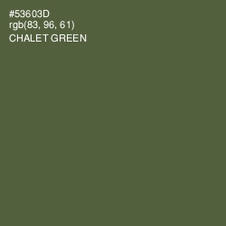 #53603D - Chalet Green Color Image